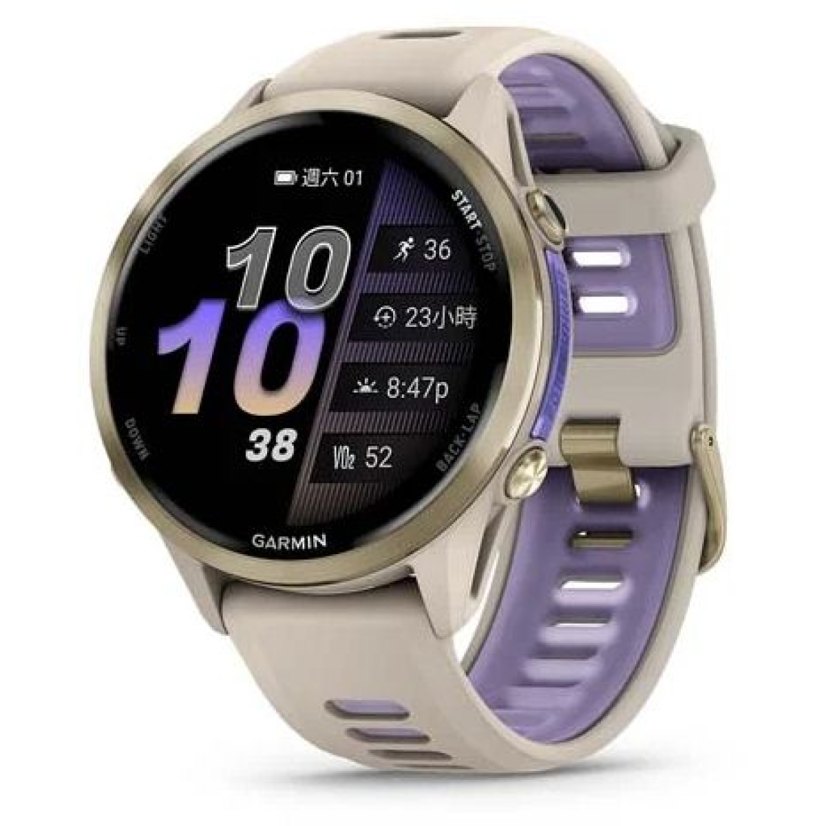 Garmin 010-02969-62 Forerunner 970 GPS 全方位鐵人運動錶 (靛影灰/月光紫 (護蓋設計))